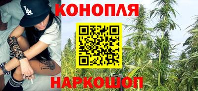 ешки Шебекино