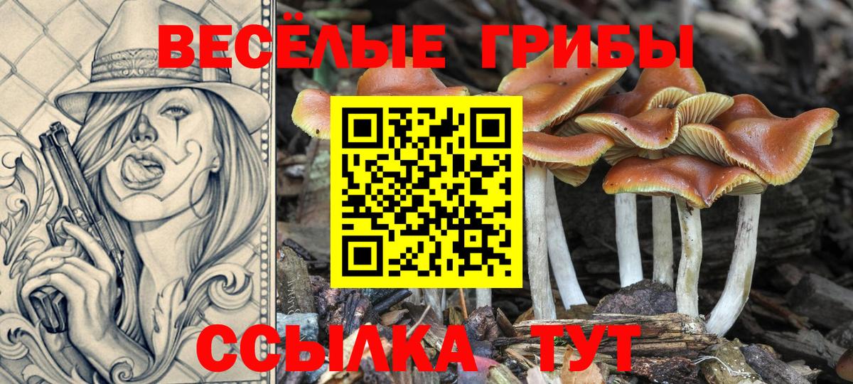 Магадан  Alpha PVP СОЛЬ   Кокаин  Мефедрон кристаллы  Вход с VPN  НБОМе  Марихуана  Гашиш  Амфетамин  