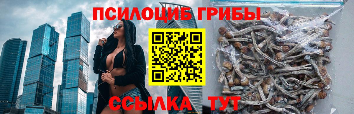 Псилоцибиновые грибы ЛСД  Галлюциногенные грибы прущие грибы  Магадан  Вход с VPN 